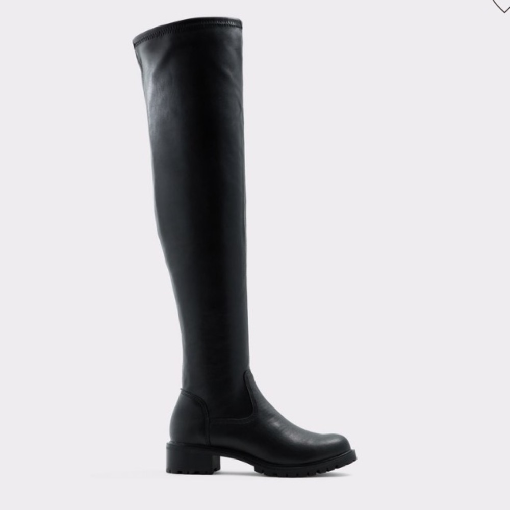 Aldo Laruria Boots- never been worn